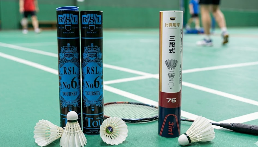 RSL & Dmantis shuttlecock